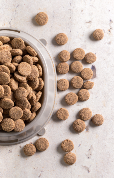 croquettes